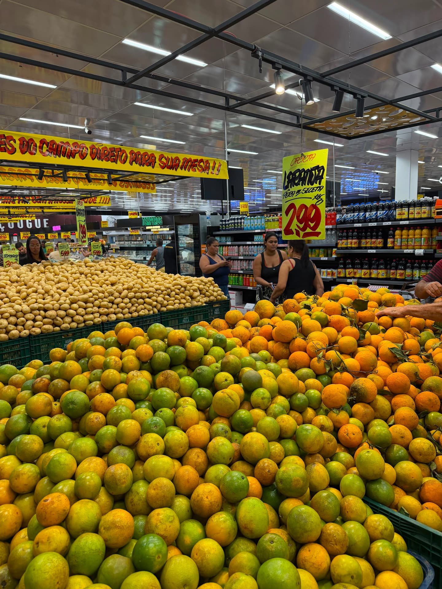 Laranjas e frutas selecionadas do campo direto para sua mesa